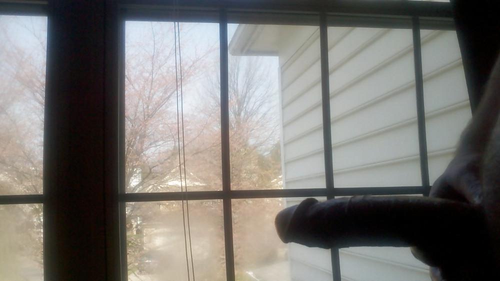 8P Flashing my cock at the window - larger pics