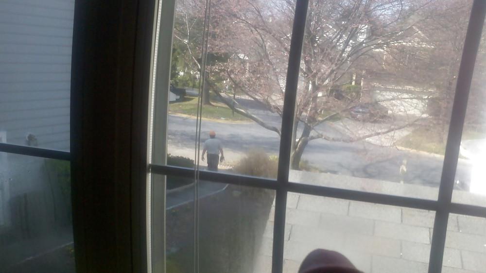 8P Flashing my cock at the window - larger pics