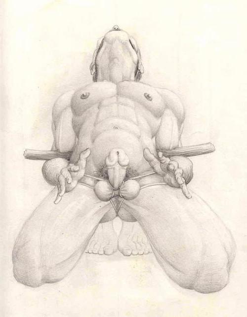 25P The Nude in Art gay History