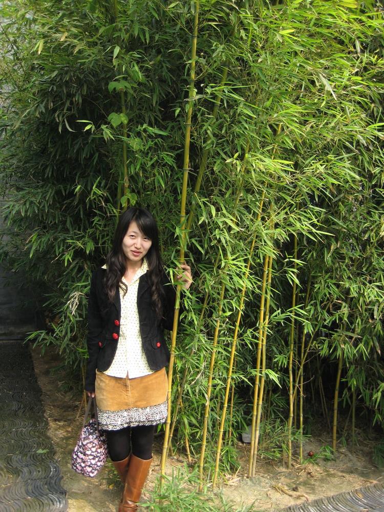 25P Chinese Amateur-95