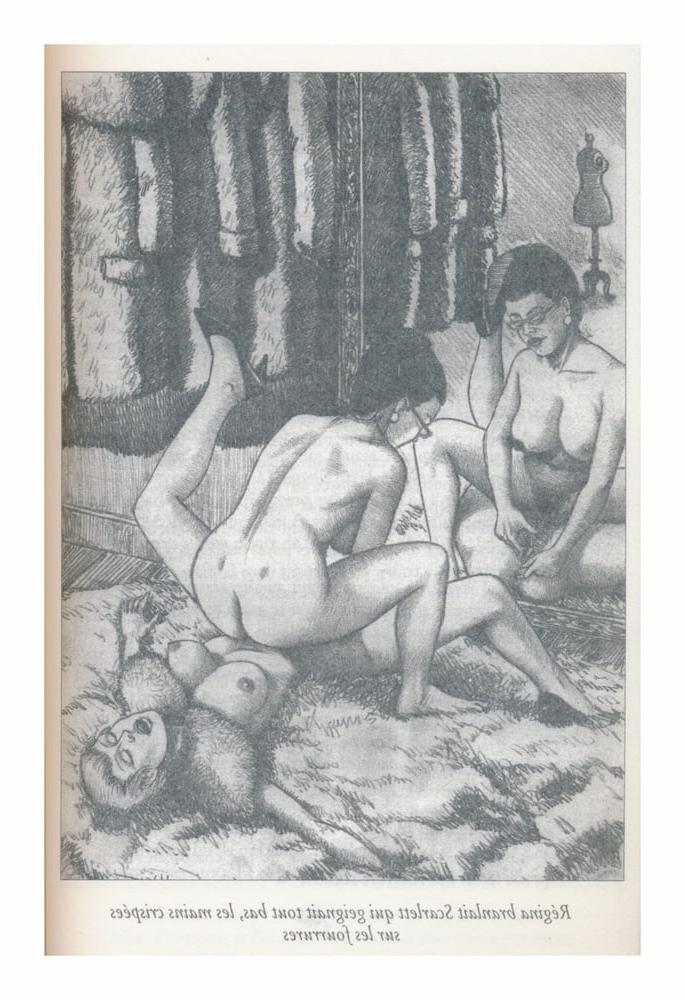 25P collection  art