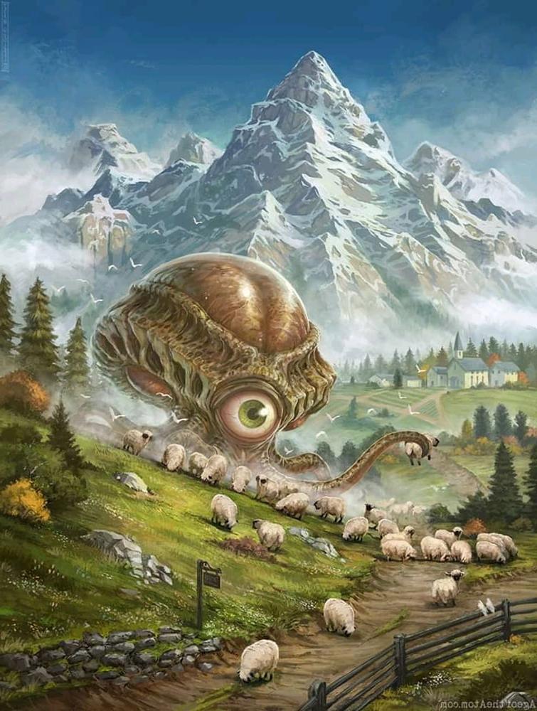 24P Art
