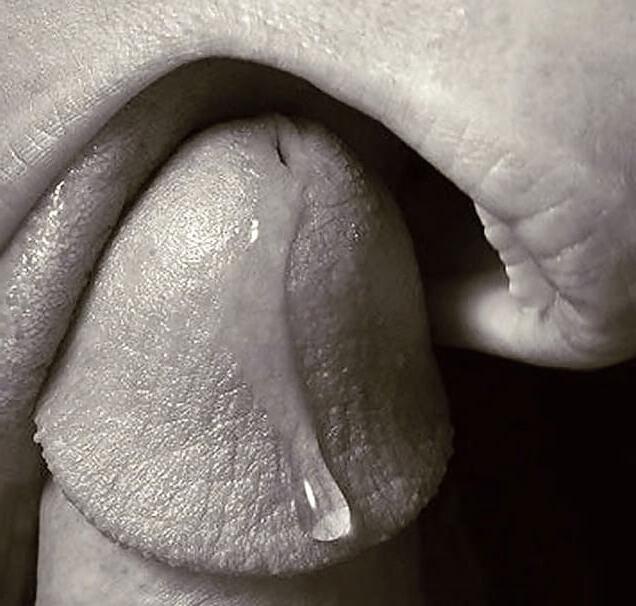 6P The Art of B&amp;W