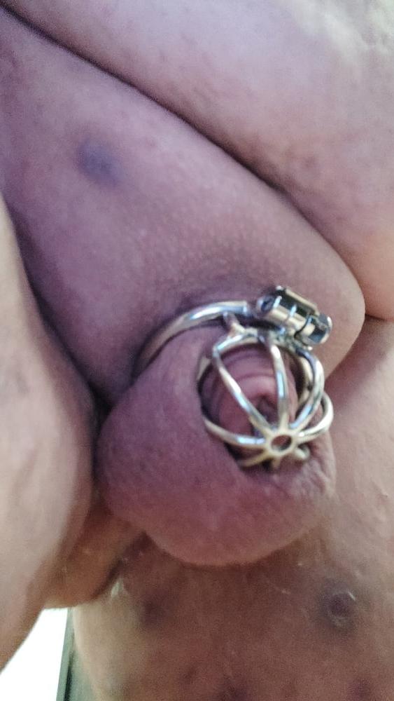 25P Fat Sissy Pig Dani 2020