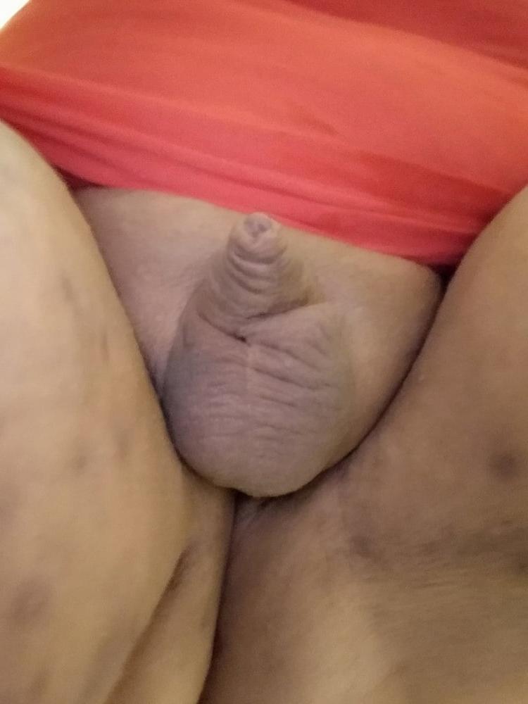 25P Fat Sissy Pig Dani 2019