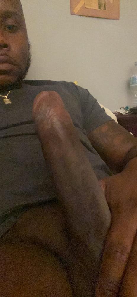 19P BBC Yummy gallery  II