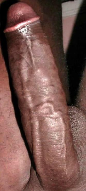 19P BBC Yummy gallery  II