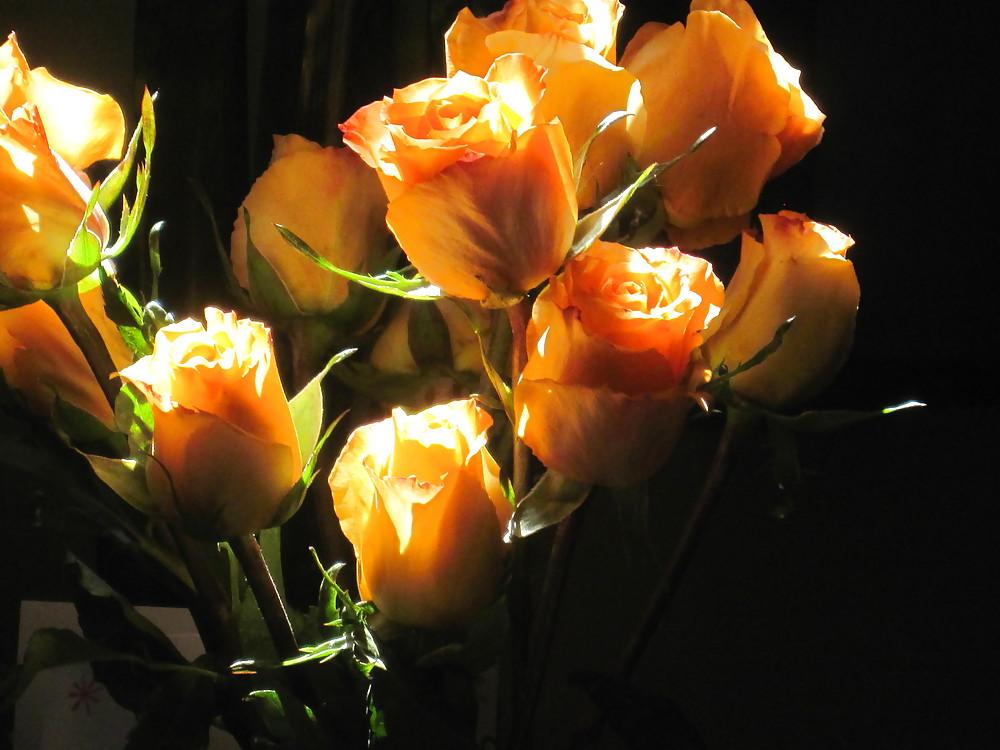 8P Flowers For My Birthday