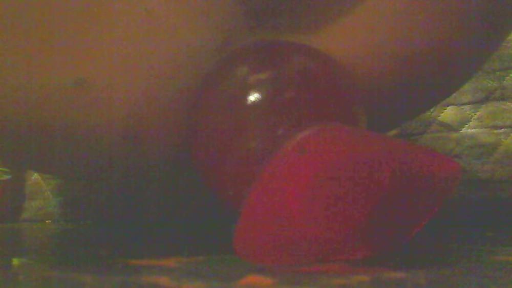 25P Teasing in jeans n shoes. then the ace of spades