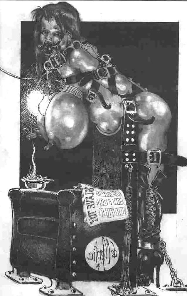 25P Thematic Drawn Porn Art 10 - BDSM (1)
