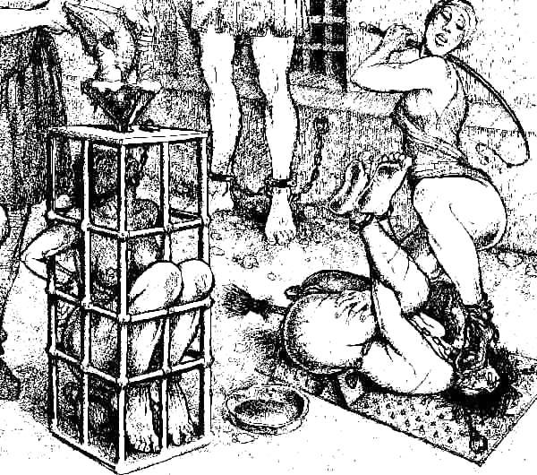 25P Thematic Drawn Porn Art 10 - BDSM (1)