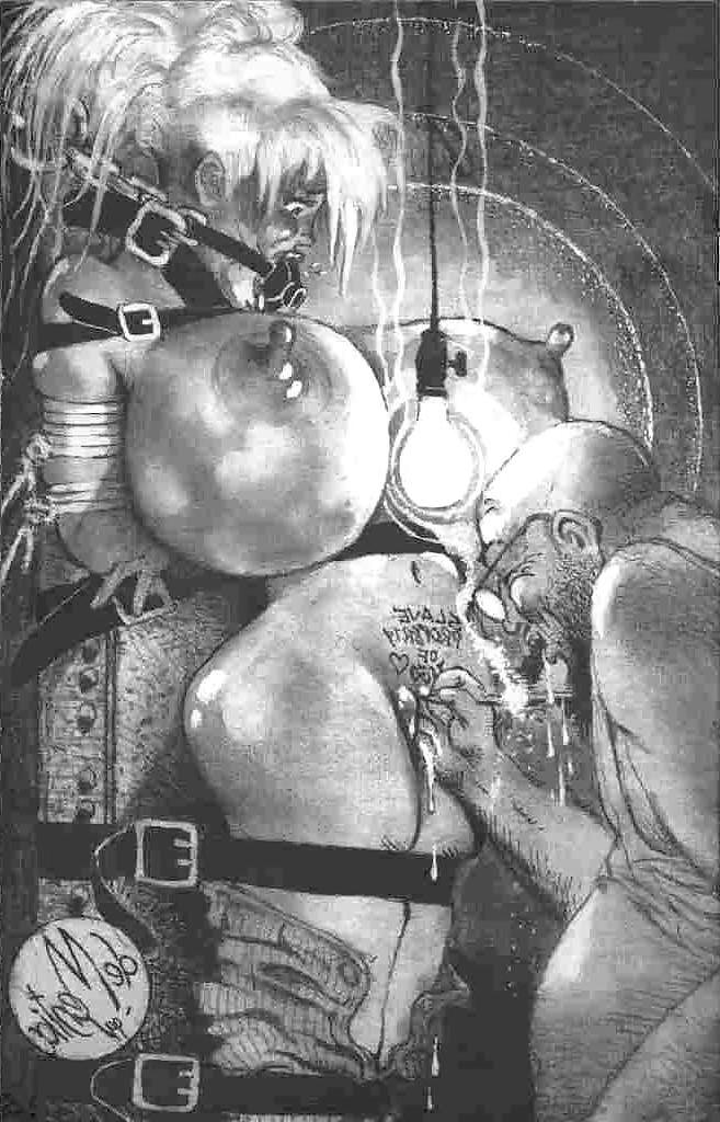 25P Thematic Drawn Porn Art 10 - BDSM (1)