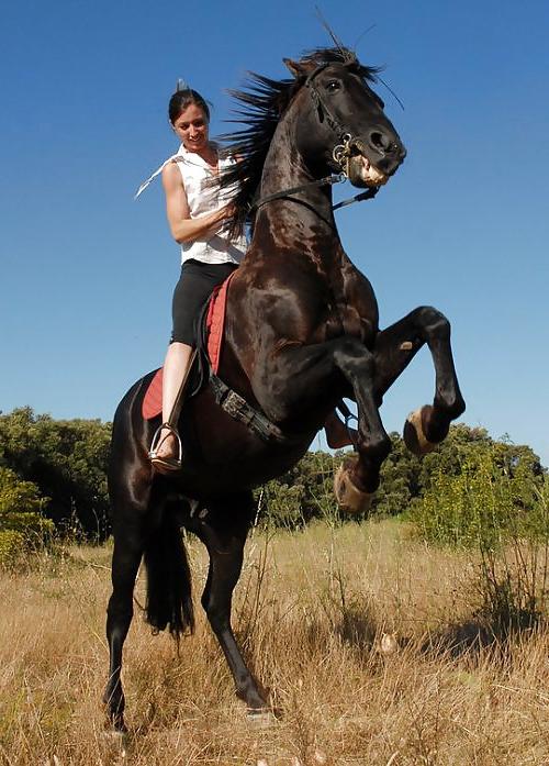 19P Mistresses riding