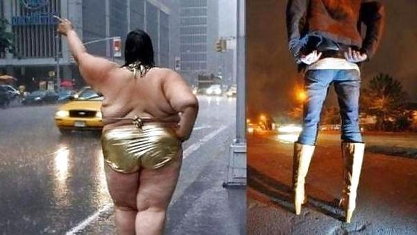 17P Skinny or fat