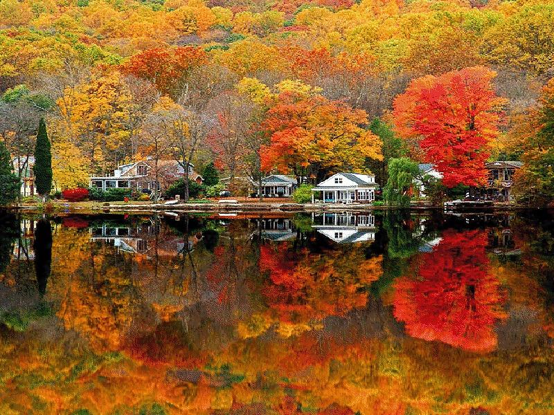 22P Mirror in the water.