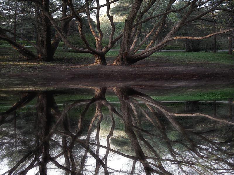 22P Mirror in the water.