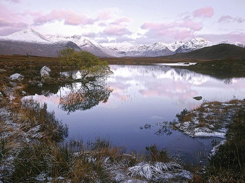 22P Mirror in the water.