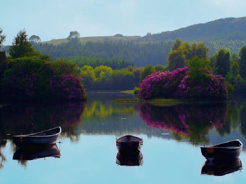22P Mirror in the water.