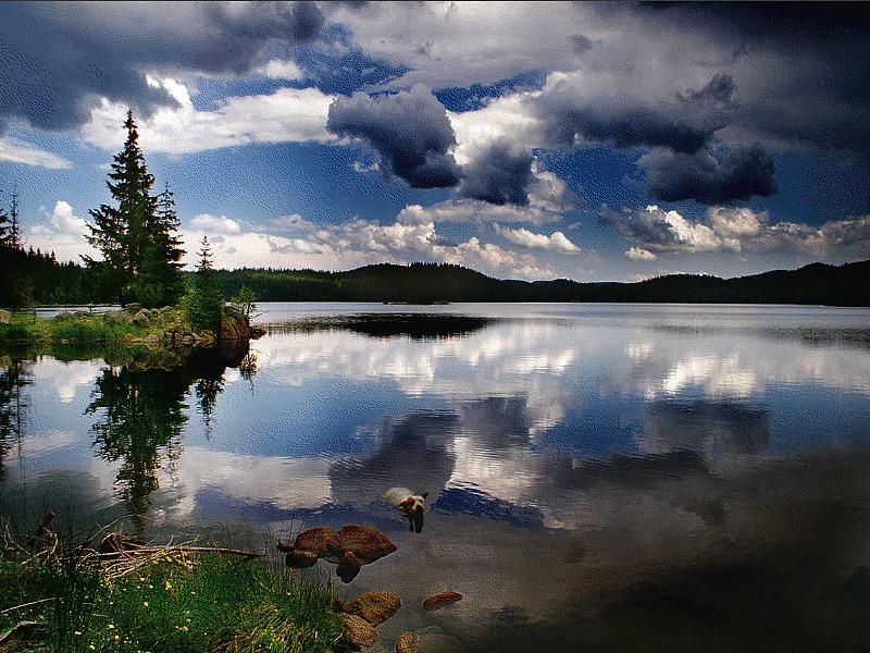 22P Mirror in the water.