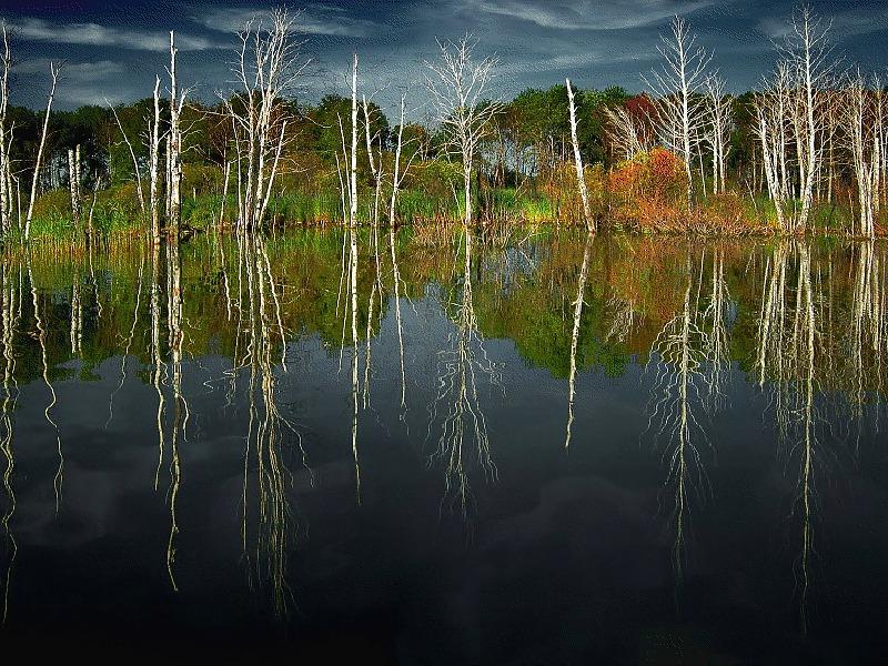 22P Mirror in the water.