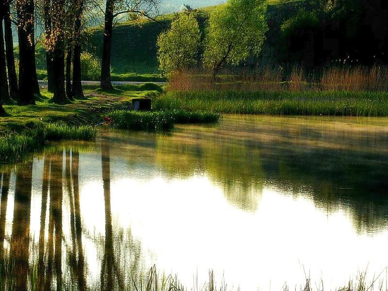 22P Mirror in the water.