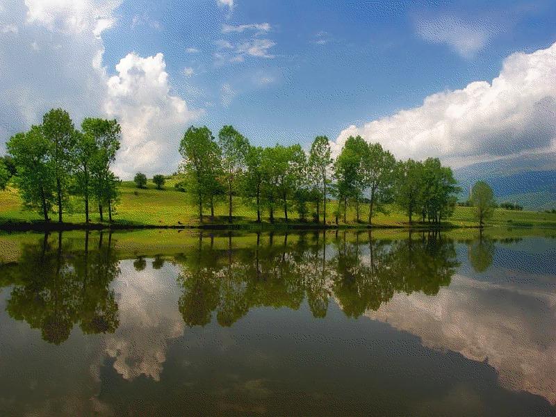 22P Mirror in the water.