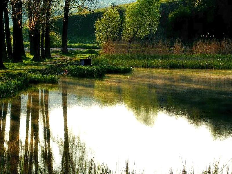 22P Mirror in the water.