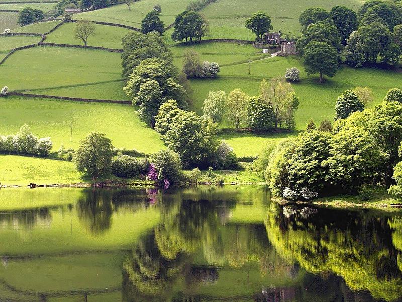 22P Mirror in the water.