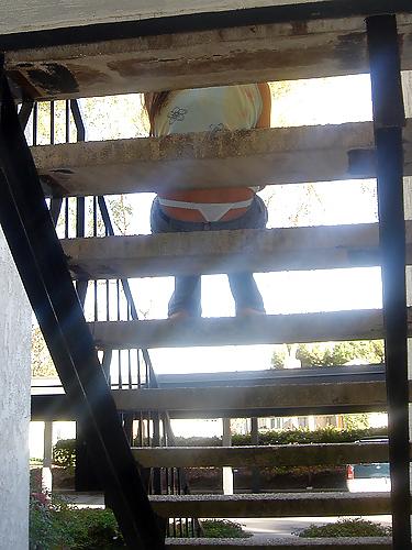 25P Thong 53