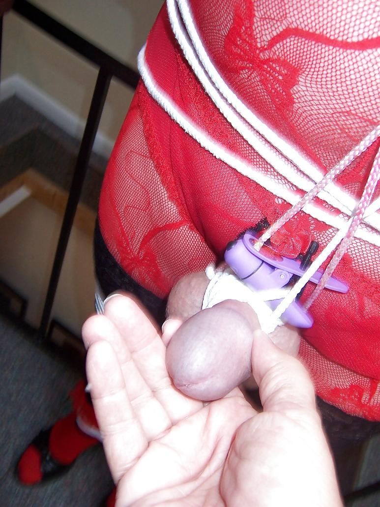 25P SEXY CDS AND TVS ALL TIED UP