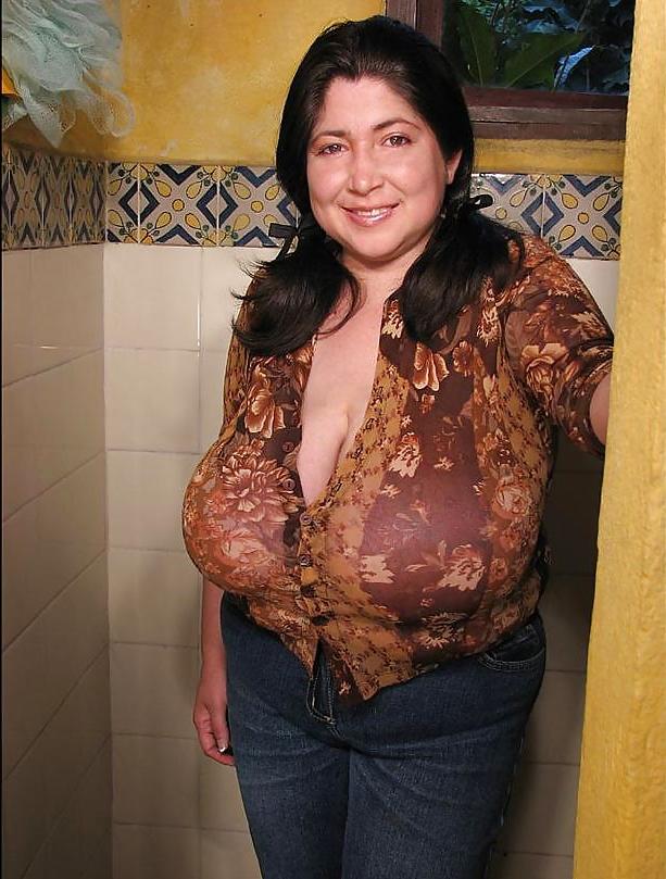 25P Curvy Beauties 44 Clothed Edition