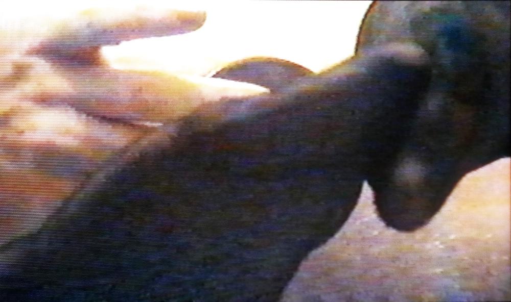 25P Naughty School Girl - Video Stills