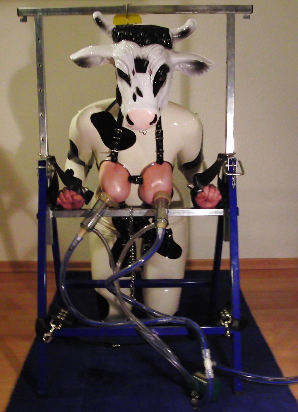 25P Milk,milk,milk!!!( human cow)