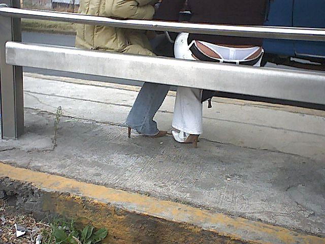 25P Thong 10