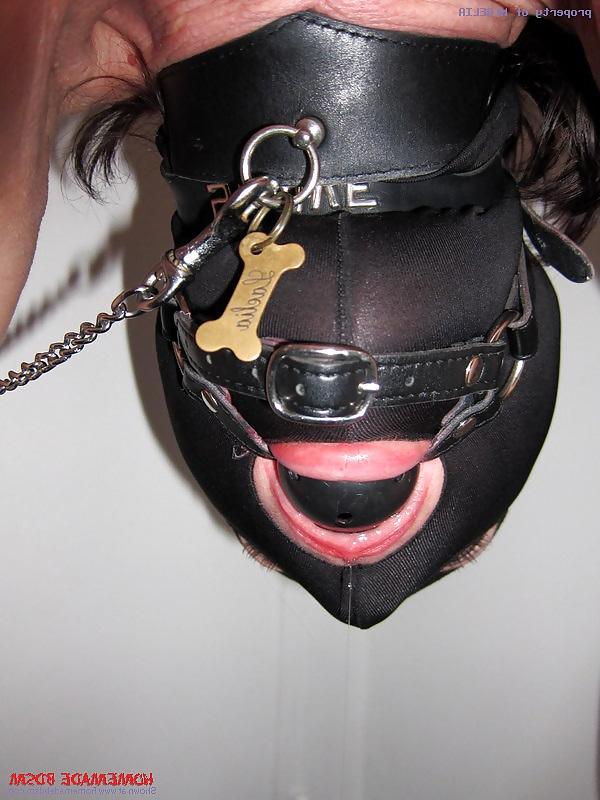25P Amateur Sluts Slaves n Jerk Offs 24 (HB edition)