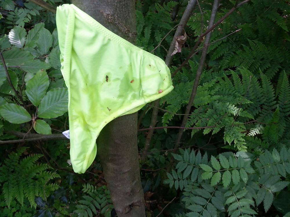 15P Nicoles Neon Thong