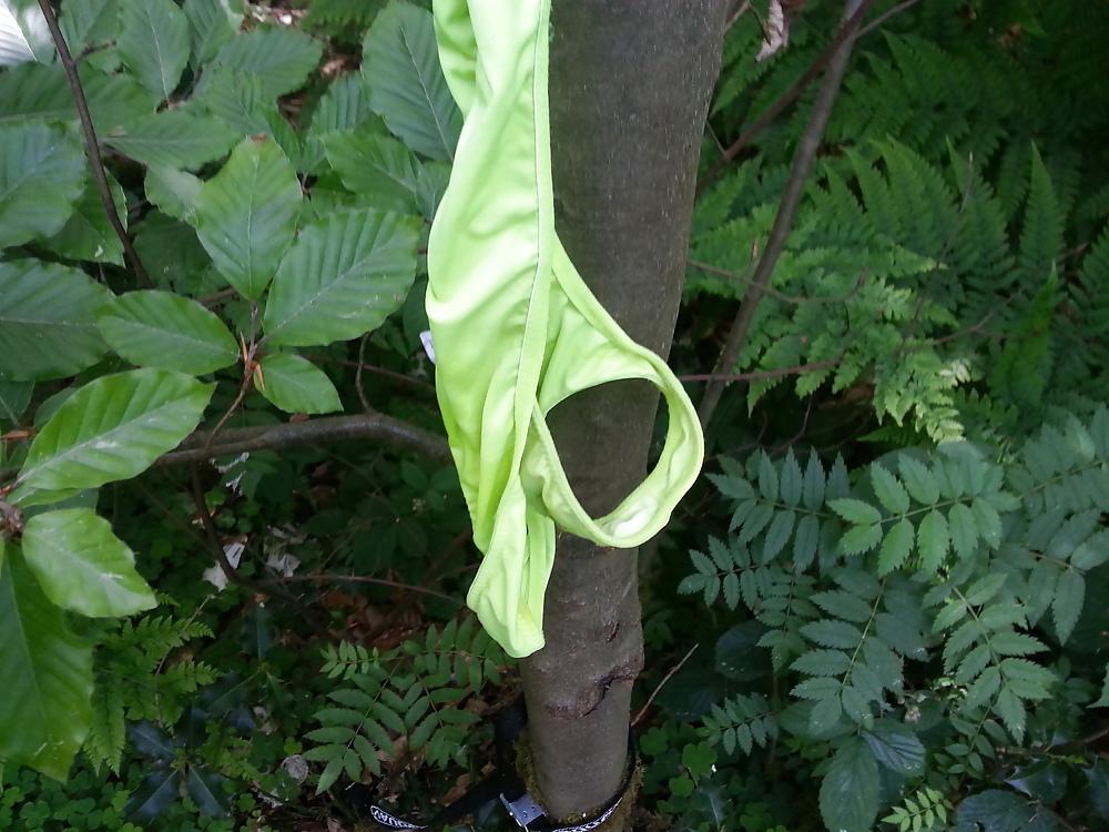 15P Nicoles Neon Thong
