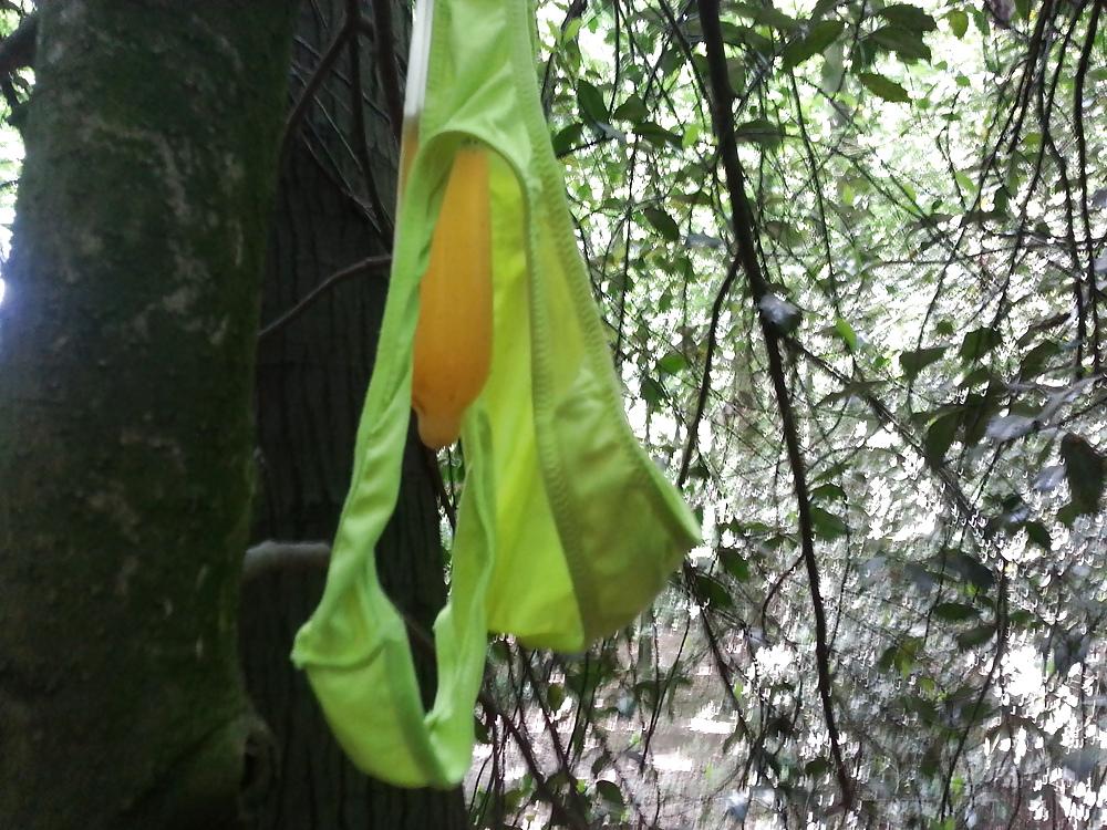 15P Nicoles Neon Thong