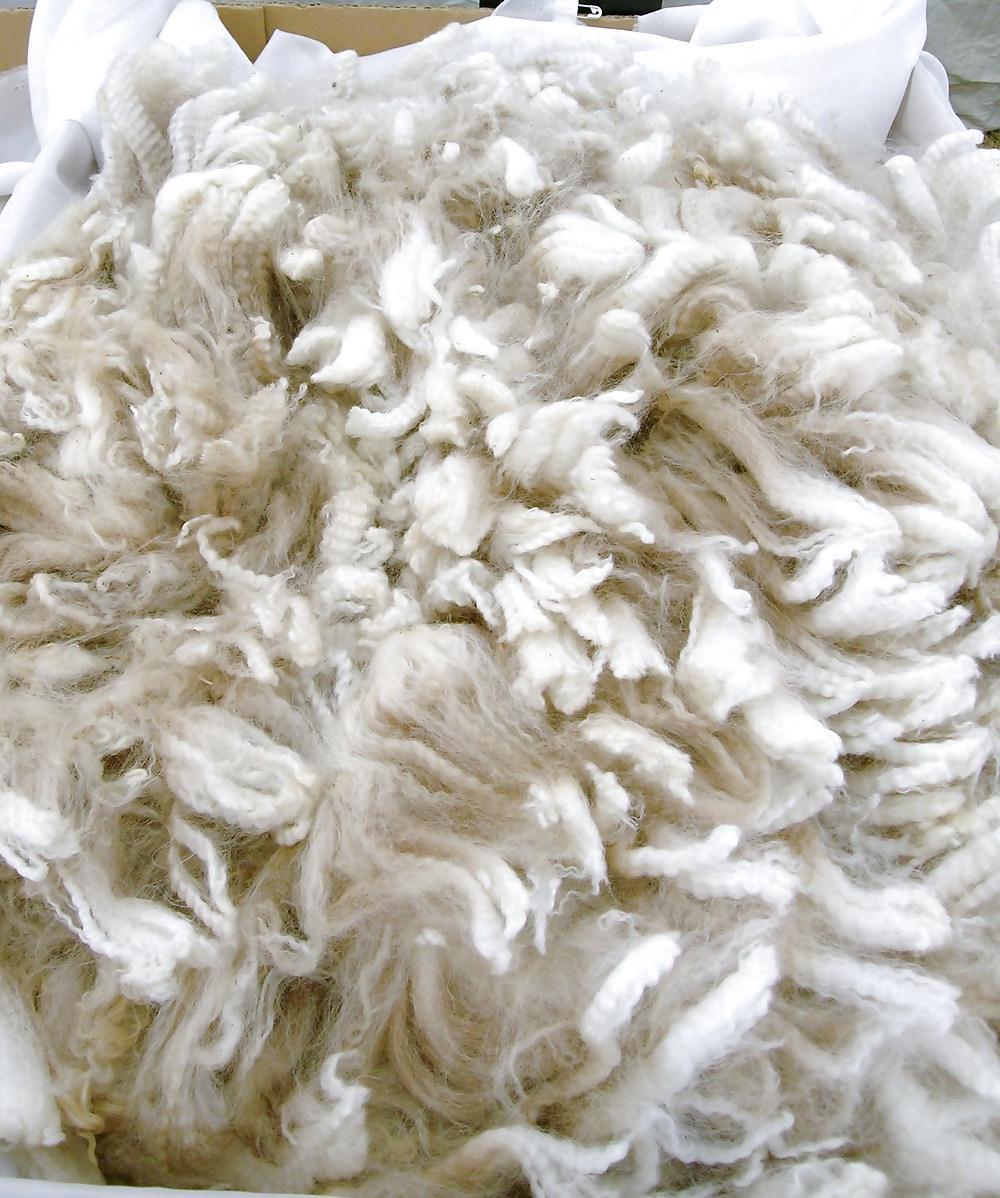 12P More Fleece for Mistress Nathalie