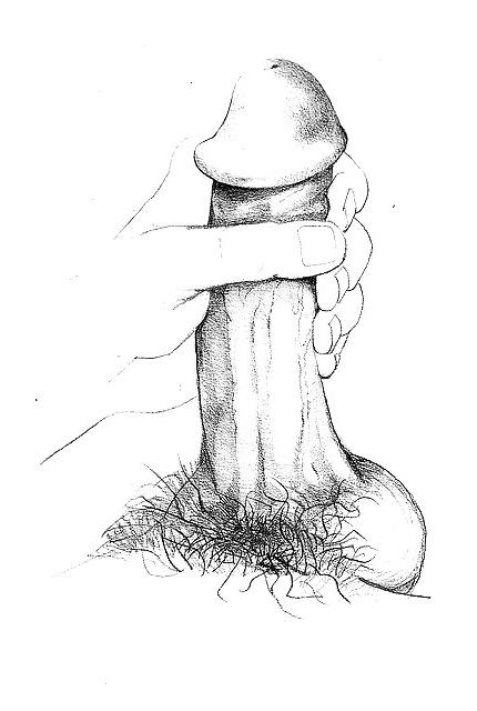 25P Erotic ART
