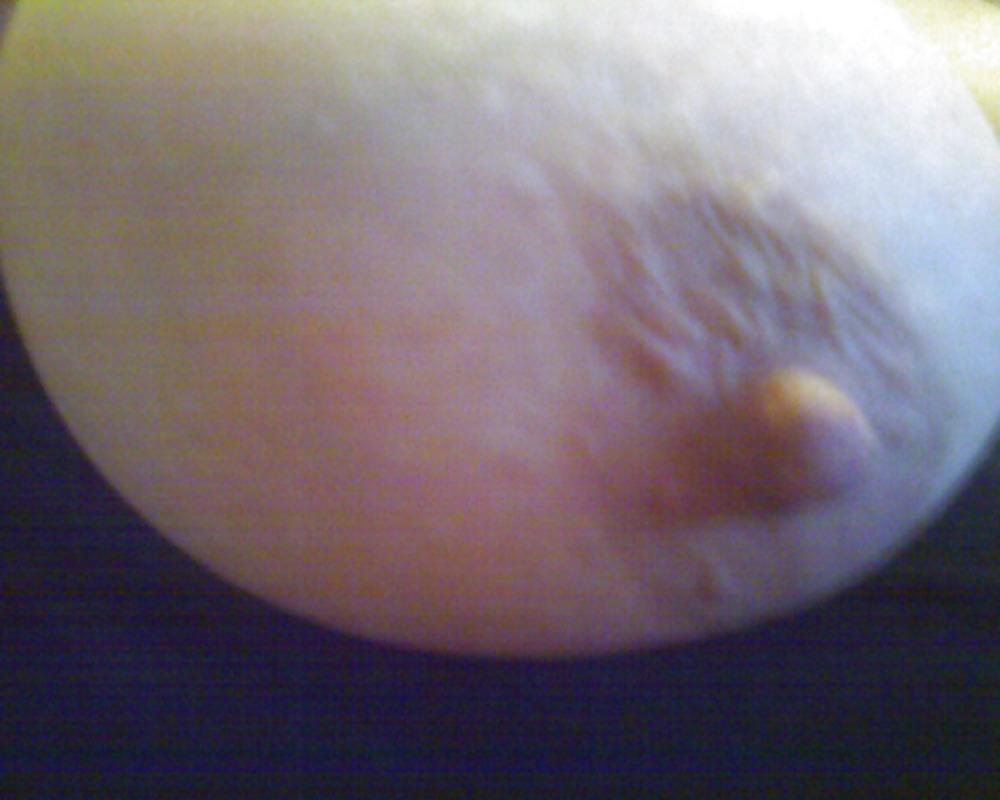 12P BBW Curvy Baby tits
