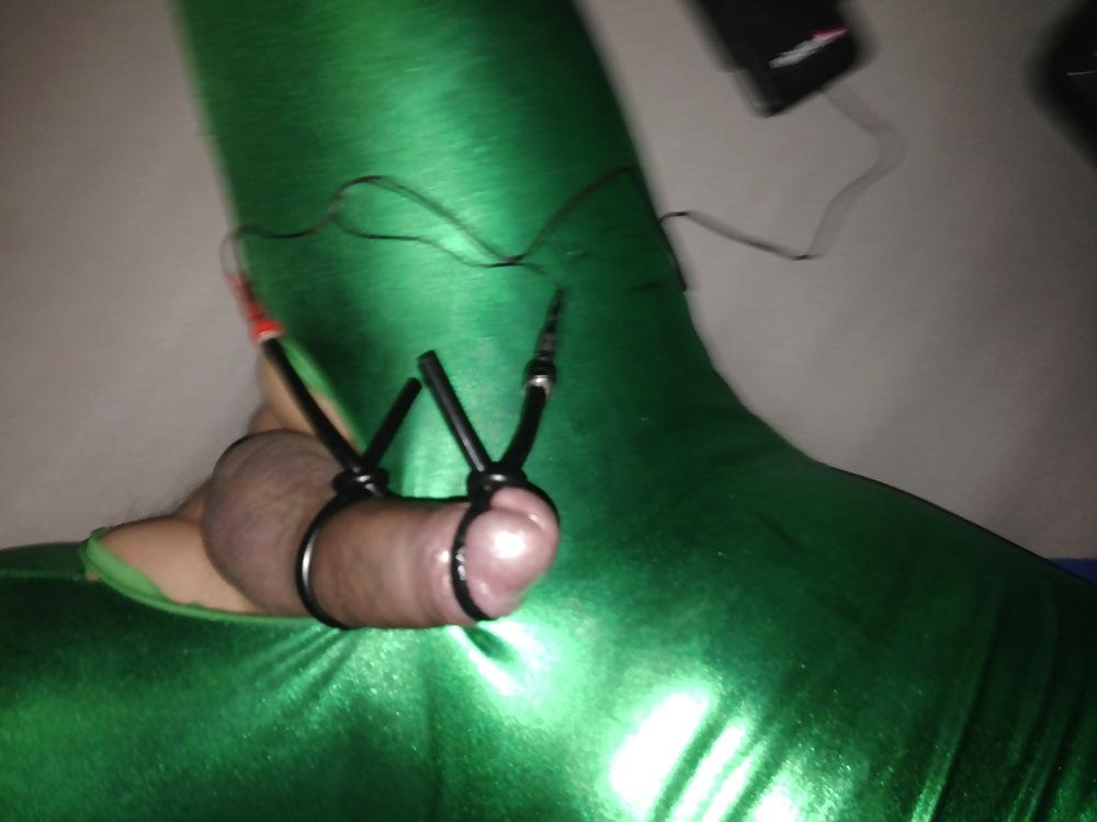 18P Electro milking