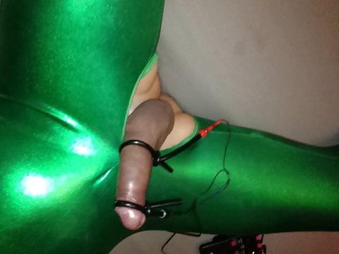 18P Electro milking