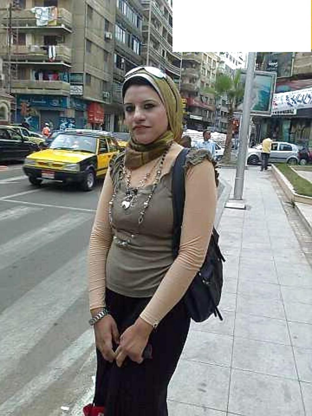 18P Arabian hared body