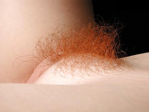 25P Red head 18