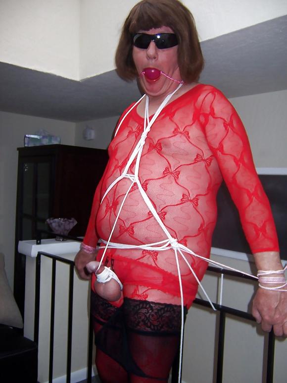 25P SEXY CDS AND TVS ALL TIED UP