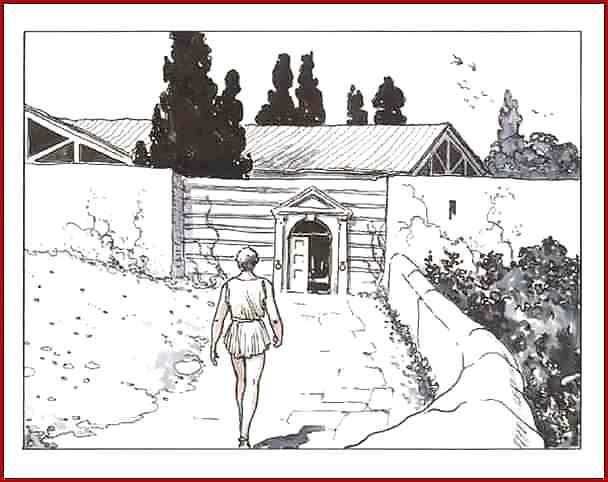 25P Erotic Comic Art 17 - The Golden Ass 1