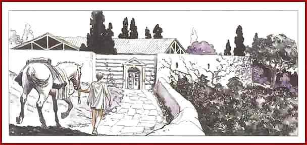 25P Erotic Comic Art 17 - The Golden Ass 1