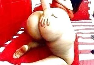 25P Arabian mature 