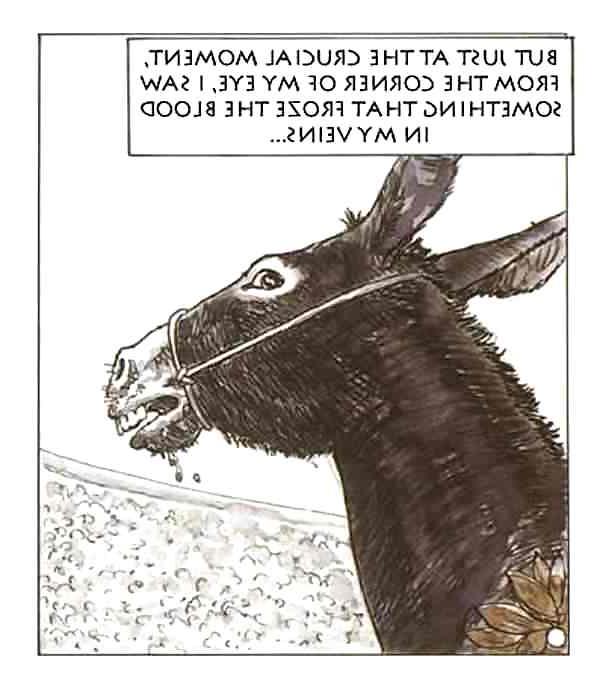 25P Erotic Comic Art 19 - The Golden Ass 3 of 3 